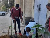 جامعة حلوان تشارك بمبادرة "الشرق الأوسط الأخضر" بزراعة أشجار بمحيط كلية التكنولوجيا
