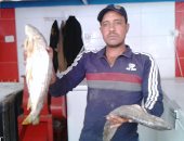 فسيخ من أسماك بحيرة ناصر.. "اليوم السابع" فى جولة بمحلات صناعة وبيع الفسيخ بأسواق أسوان.. اقتصاد كبير لأهالى المحافظة.. رمضان يضرب موسم شم النسيم.. والسياح الأجانب يزورون المحلات للمشاهدة والتذوق فقط .. فيديو 