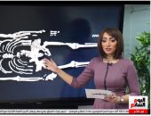 أقدم مصرى عمره 35 ألف سنة ومات بـ"ضهره".. تغطية على تليفزيون اليوم السابع 