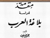قرأت لك.. "مقدمة لدراسة بلاغة العرب" ما هو الأدب وكيف ننظر البلاغة والنقد؟