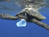مشروع أممى لمساعدة 30 دولة نامية على التخلص من النفايات البحرية