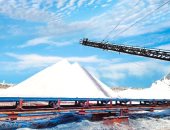 قارئة تشارك "صحافة المواطن" بصور لملاحات بورسعيد تكشف موهبتها بالتصوير