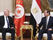 أستاذ بجامعة قناة السويس: التبادل التجارى بين مصر وتونس سيزيد بعد زيارة قيس سعيد