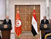 الرئيس السيسى لنظيره التونسى: الأمن المائى المصرى جزء من الأمن القومى العربى