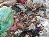 أهالى أكياد البحرية بالشرقية يطالبون برفع القمامة.. ورئيس المدينة يستجيب