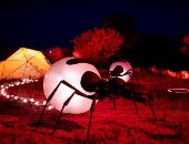 مهرجان بارتيجيما 2021.. عرض مبهر للضوء في المركز الأحمر بأستراليا.. ألبوم صور