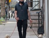 هيو جاكمان فى نزهة مع كلابه بشوارع نيويورك.. بعد تلقيه لقاح كورونا