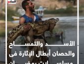الأسد والتمساح والحصان.. أبطال الإثارة فى مسلسلات رمضان.. فيديو