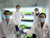 باحثون من جامعة سنغافورية يبتكرون أداة للتواصل مع النباتات.. اعرف الحكاية