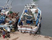 استئناف حركة الملاحة بميناء البرلس وانطلاق 160 مركب صيد عقب توقفها يومين