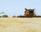 10 معلومات عن صوامع القمح بمحافظة أسوان 