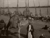 100 صورة عالمية.. طرق نقل البضائع فى مصر على الطريقة القديمة