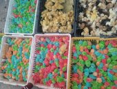 كتكوت بألوان شم النسيم فى شوارع بورسعيد.. والبطة البلدى بـ5 جنيهات.. فيديو