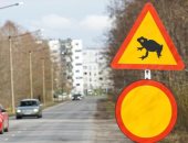 إستونيا تقرر إغلاق طريق مزدحم أمام حركة السيارات.. "الضفادع" كلمة السر