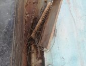 المصرية للاتصالات تستجيب لصحافة المواطن وتصلح كابينة متهالكة بمصر الجديدة