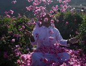 فدادين السعادة.. مدينة الورود فى السعودية تزدهر خلال رمضان.. ألبوم صور