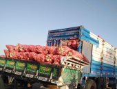نقيب الزراعيين: الرئيس يدعم المزارعين.. وصادراتنا من البصل زادت 200 ألف طن