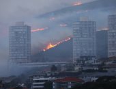 اندلاع حريق عند سفح جبل "تايبل ماونتن" بجنوب أفريقيا.. صور