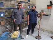 أكبر ثعبان أناكوندا فى مصر.. حلقة جديدة من "صندوق محسوب" 