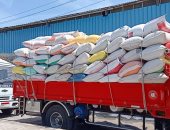 سنابل الخير.. تعرف على إجراءات استلام الأقماح بصوامع وشون كفر الشيخ.. فيديو