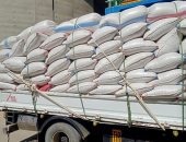 صوامع المنيا تستقبل 7865 طن قمح وتوريد 83930 طنا في الشرقية