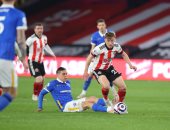 برايتون يشعل صراع البقاء في الدوري الإنجليزي بالخسارة أمام شيفيلد.. فيديو