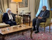 سامح شكرى يؤكد لـ"جريفيث" على موقف مصر الداعم للحل السياسى للأزمة اليمنية