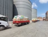 محافظ البحيرة: توريد 21 ألف طن قمح للصوامع والشون حتى الآن