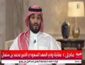 السعودية والإمارات تؤكدان عزمهما على التصدي لقوى الشر والإرهاب فى اليمن