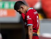 ليفربول يعلن إصابة روبرتو فيرمينو في أوتار الركبة خلال مباراة أتلتيكو مدريد