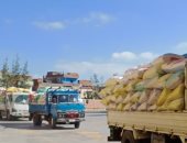 محافظ كفر الشيخ: توريد 62133 طنا و955 كيلو قمح للصوامع والشون حتى الآن