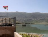 تكدس أطنان من الأسماك الميتة في بحيرة القرعون في لبنان.. ألبوم صور