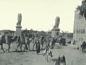 100 صورة عالمية.. "كوبرى قصر النيل" أسود يحرسون العبور
