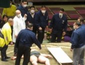 وفاة مصارع سومو على حلبة القتال فى اليابان وسط ذهول الجمهور.. فيديو وصور
