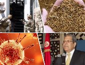 باختصار..أهم الأخبار العربية والعالمية حتى الـ12 ظهرا..مسلحون يهاجمون آبار نفط شمالى العراق.. بريطانيا تختبر بذلة نفاثة طائرة تحلق بجنودها عاليا..المفوضية الأوروبية توافق على طرح "حشرات" للاستهلاك الغذائى للبشر