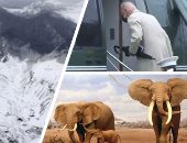 العالم هذا المساء.. مصرع 7 أشخاص بسبب انهيار جليدى فى جبال الألب بفرنسا.. محكمة أمريكية تنظر فى أول دعوى قضائية من فيل ضد حديقة الحيوان.. وحريق بمعمل اسطوانات أكسجين وسط بغداد بالعراق