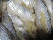  10 خطوات لتمليح الفسيخ بطريقة سليمة فى المنزل