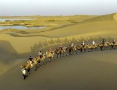 الصحراء الصينية.. قبائل وجمال وأغنام وسياحة كمان..ألبوم صور