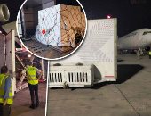 وصول أضخم شحنة لقاحات كورونا بمطار القاهرة.. الصحة: استلام 1.7 مليون جرعة من "استرازينكا" لتطعيم الفئات المستهدفة.. وتؤكد: اللقاح آمن وفعال.. وندعو الجميع إلى التسجيل للحصول عليه فى 360 مركزًا بالجمهورية (صور)