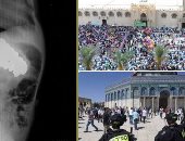 التليفزيون هذا المساء.. الأوقاف: يجوز للمسلم صلاة العيد بالمنزل إذا خشى التزاحم.. مصر تطالب إسرائيل بوقف الاعتداءات على الأراضى الفلسطينية.. استخراج 30 صامولة من معدة طفلة فى تغطية خاصة لتليفزيون اليوم السابع