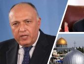 ارتباك فى تل أبيب خامس أيام العدوان على غزة.. القاهرة تحذر من التصعيد وسامح شكرى يقود اتصالات دولية للتهدئة .. الصحة الفلسطينية: 109 شهداء بينهم أطفال فى غارات الاحتلال.. والإعلام الإسرائيلى ينفى العملية البرية