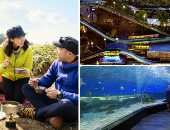 العالم هذا الصباح.. أوروبا تستقبل فصل الربيع بالتخييم العصرى.. إنقاذ 151 مهاجرا فى البحر المتوسط وإعادتهم إلى ليبيا.. والعشرات يتظاهرون فى نيويورك دعما للفلسطينيين.. ومانيلا أيقونة الجمال على أرض أسيا.. صور