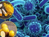 6 أغذية تحارب البكتيريا والجراثيم بشكل طبيعى.. منها الزنجبيل والعسل