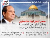 مصر ترفع لواء فلسطين.. رسائل الرئيس السيسى الحاسمة من قمة باريس.. إنفوجراف