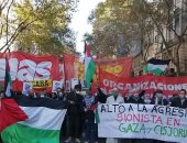 مظاهرات فى الأرجنتين والبرازيل تضامنا مع الشعب الفلسطينى.. صور