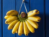 الموز طريقك للتغلب على النحافة وزيادة وزنك بأمان.. اعرف فوائده