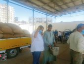 طوابير من السيارات لنقل محصول القمح للصوامع والشون فى بنى سويف.. فيديو وصور