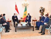 الرئيس السيسى: حل قضية سد النهضة يجنبنا تأثيرها السلبى على أمن واستقرار المنطقة