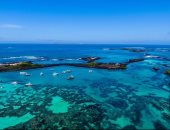 ليوناردو دي كابريو يتعهد بمبلغ 43 مليون دولار للحفاظ على البيئة بجزر جالاباجوس