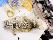 العثور على كنز مسروق بقيمة 1.5 مليون جنيه إسترلينى مدفون فى غابة روسية